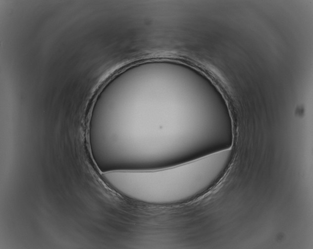 X0000094901212200711291014