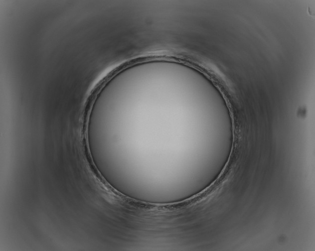 X0000094901216200711291015