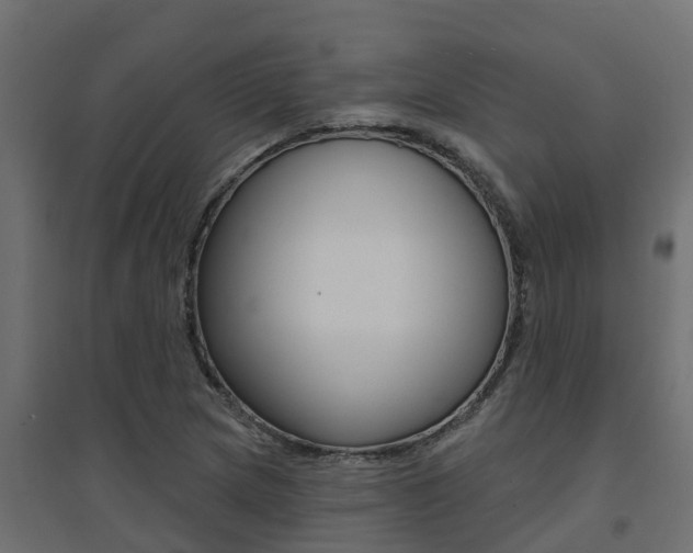 X0000094901217200711291015