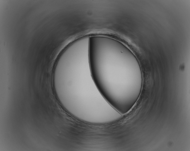 X0000094901221200711291015
