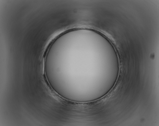 X0000094901223200711291015