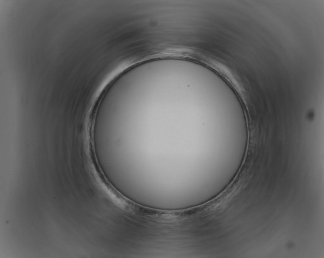 X0000094901235200711291015