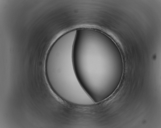 X0000094901237200711291015