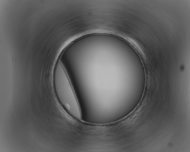 X0000094901238200711291015