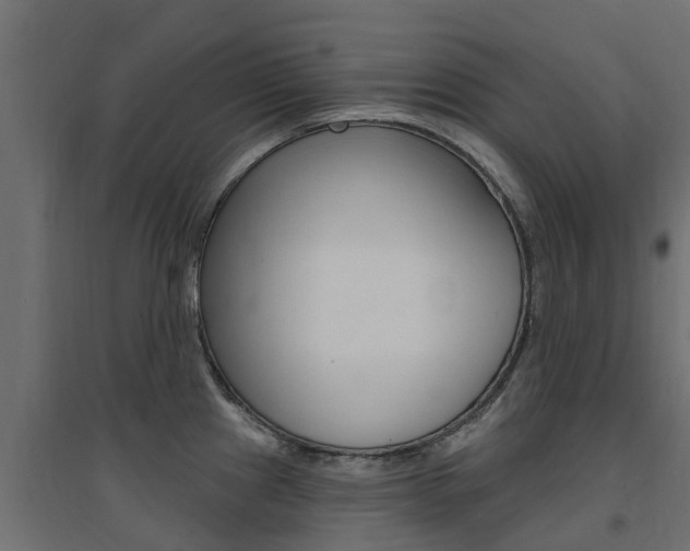 X0000094901241200711291015