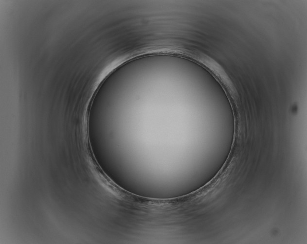 X0000094901242200711291015