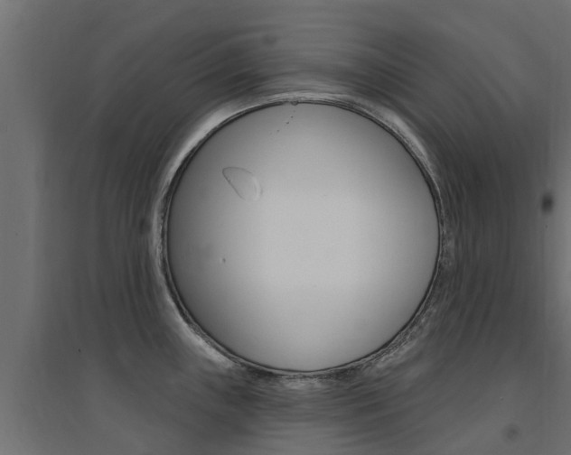 X0000094901243200711291015