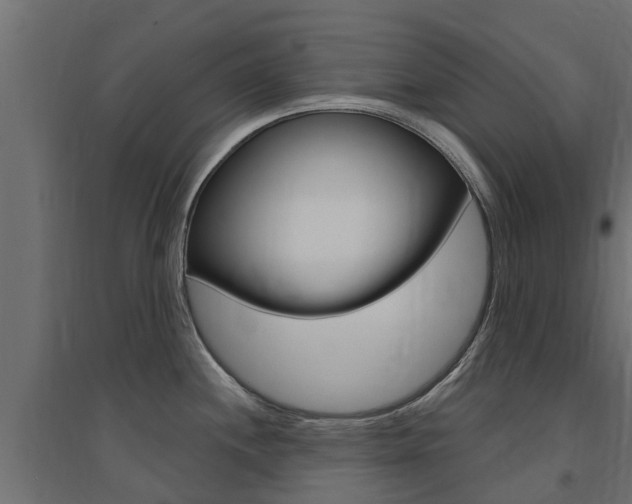 X0000094901244200711291015
