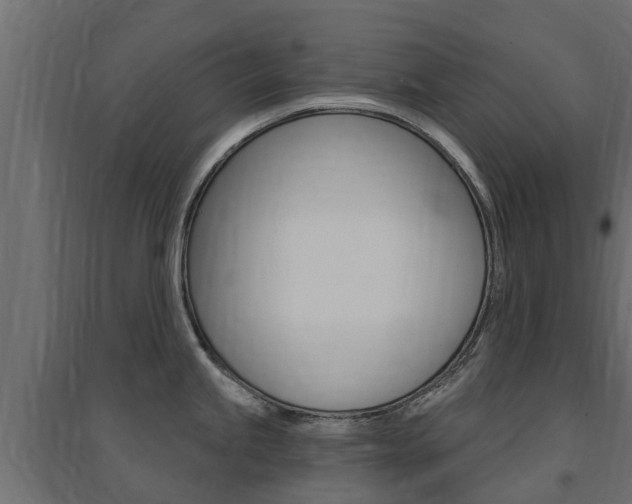 X0000094901245200711291015