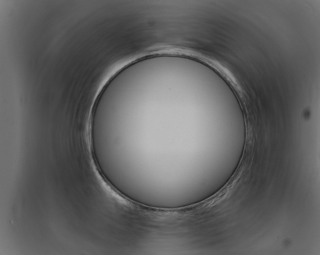 X0000094901247200711291015