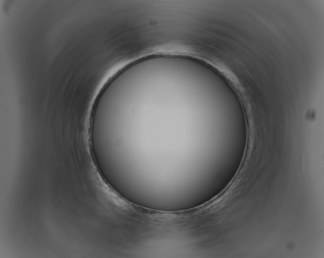 X0000094901248200711291015