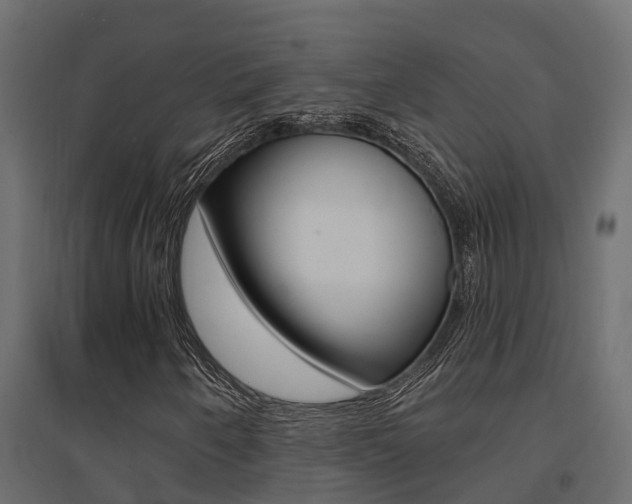 X0000094901250200711291014