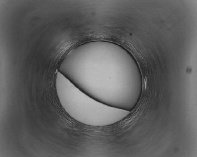 X0000094901251200711291014