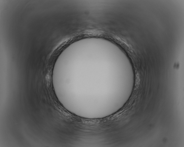 X0000094901254200711291014