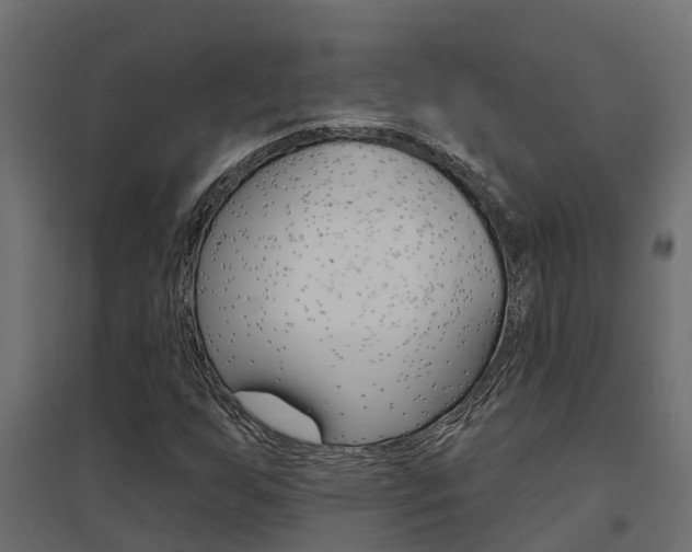 X0000094901255200711291014