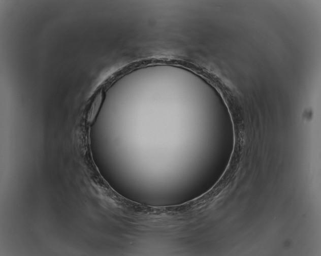 X0000094901256200711291014