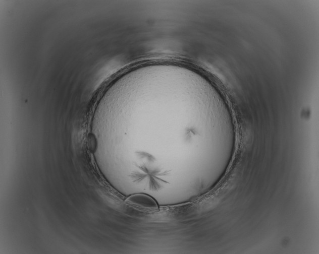 X0000094901259200711291014