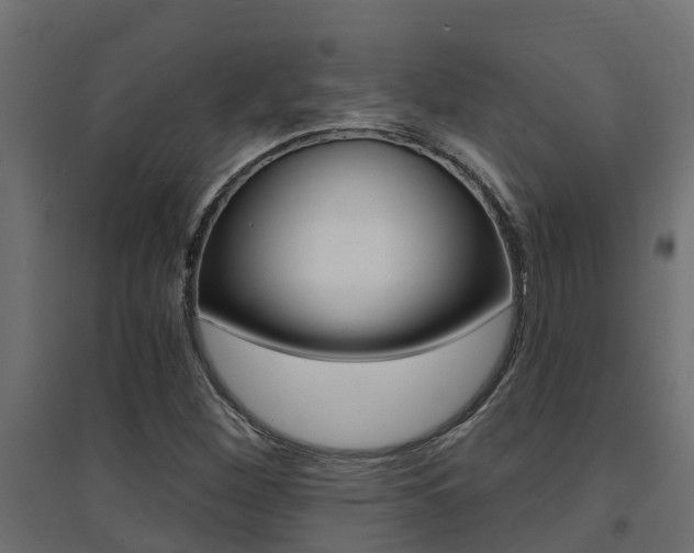X0000094901260200711291014