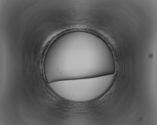 X0000094901262200711291014