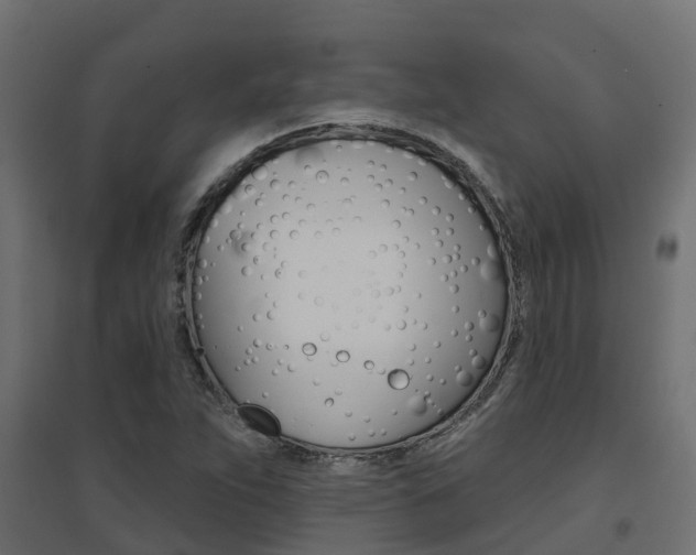 X0000094901263200711291014