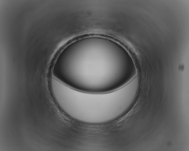 X0000094901264200711291014