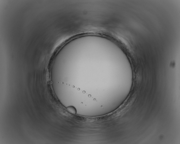 X0000094901267200711291014