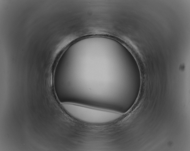 X0000094901269200711291014