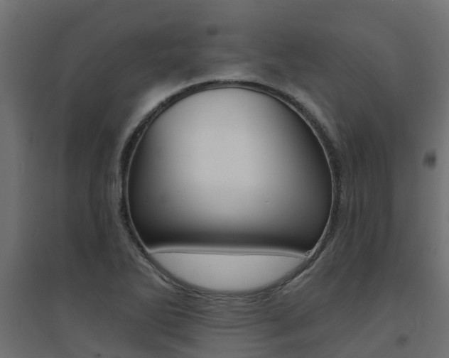 X0000094901270200711291014