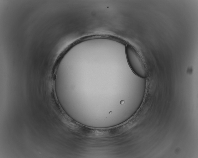 X0000094901271200711291014