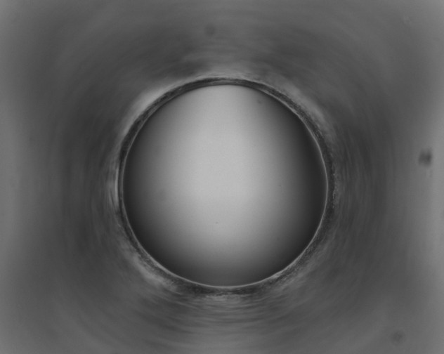 X0000094901272200711291014