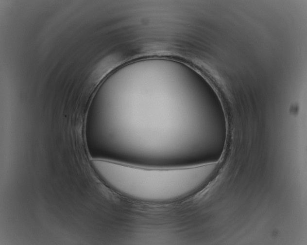 X0000094901273200711291014