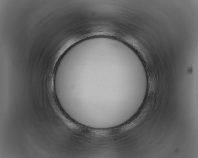 X0000094901274200711291014