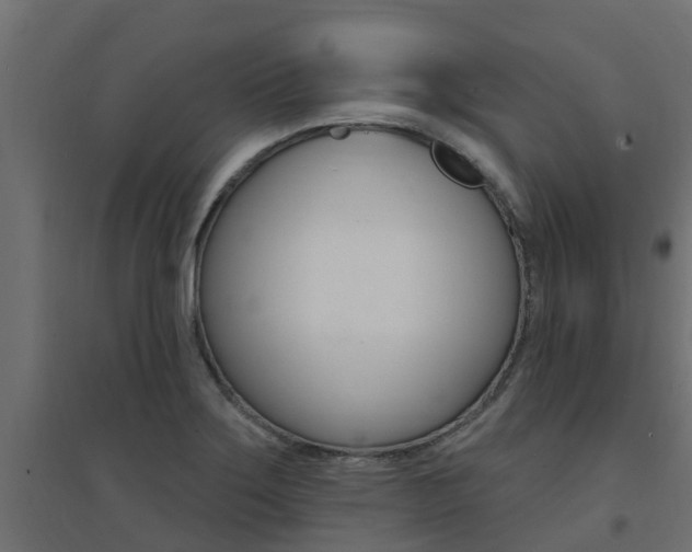 X0000094901275200711291014