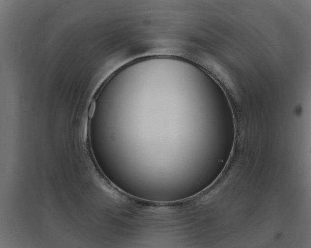 X0000094901276200711291014