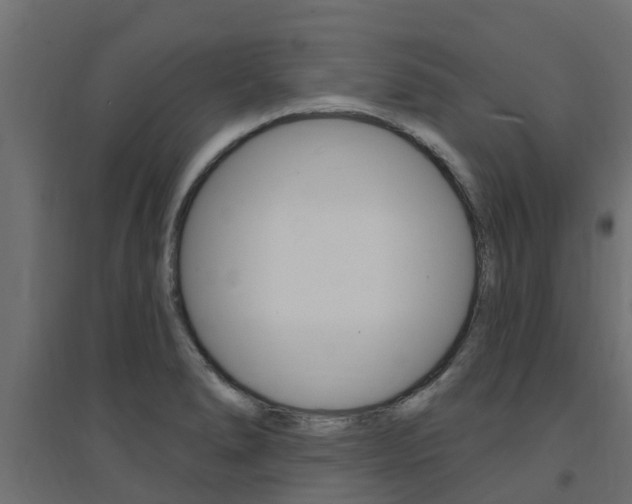 X0000094901278200711291014