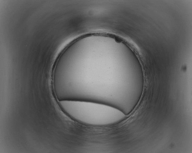 X0000094901279200711291014
