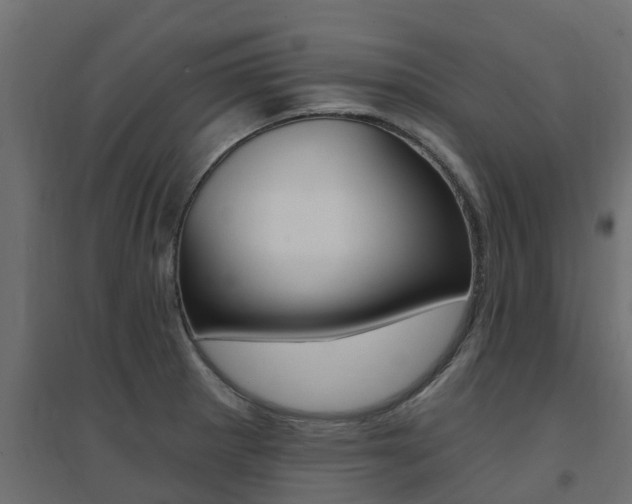 X0000094901281200711291014