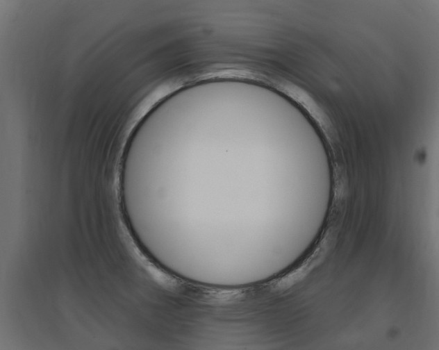 X0000094901282200711291014