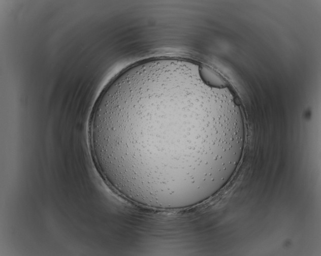 X0000094901283200711291014