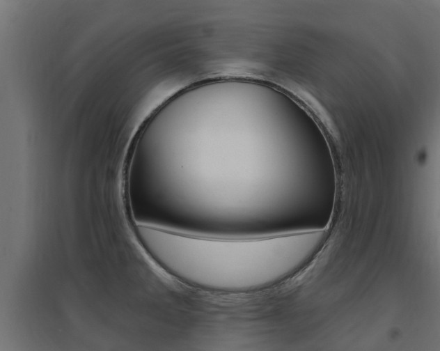 X0000094901285200711291014