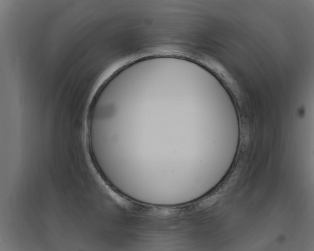 X0000094901286200711291014