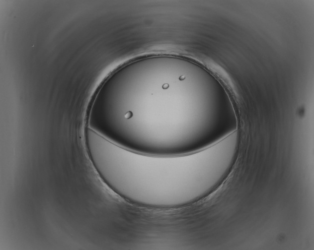 X0000094901288200711291014