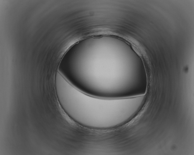 X0000094901289200711291014