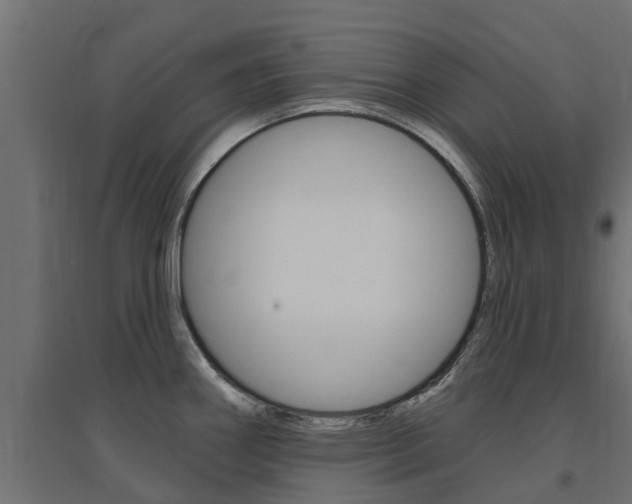 X0000094901290200711291014