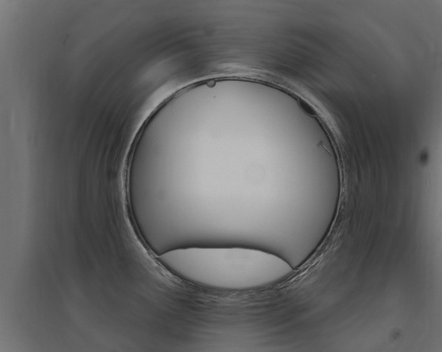 X0000094901291200711291014