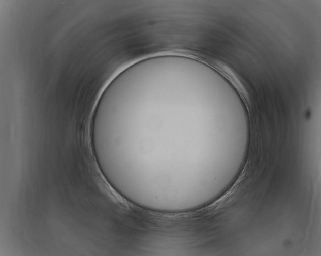 X0000094901292200711291014