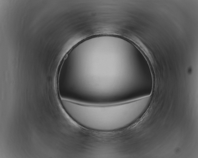 X0000094901293200711291014