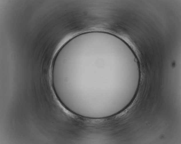 X0000094901294200711291014