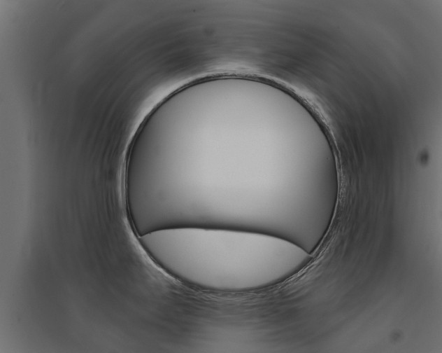 X0000094901295200711291014