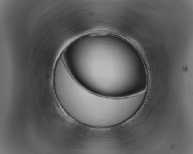 X0000094901296200711291014